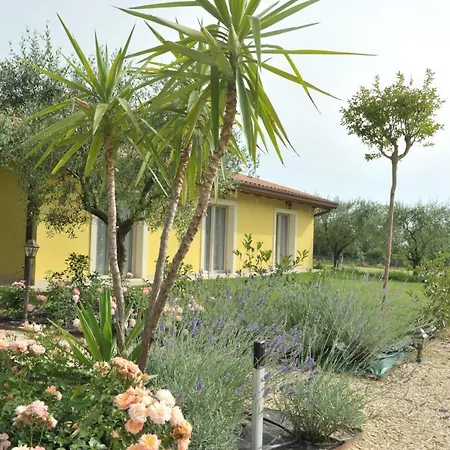 Paradiso Degli Ulivi B&B-3